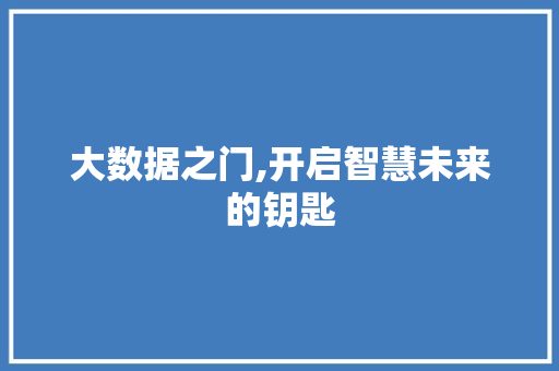 大数据之门,开启智慧未来的钥匙