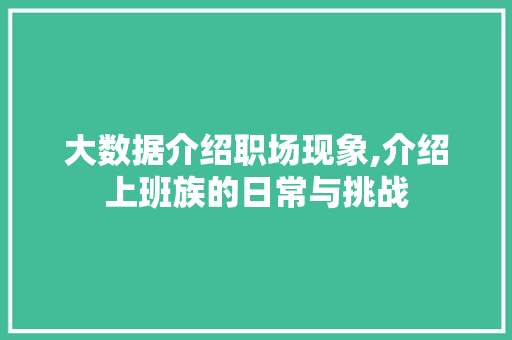 大数据介绍职场现象,介绍上班族的日常与挑战