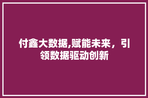 付鑫大数据,赋能未来，引领数据驱动创新