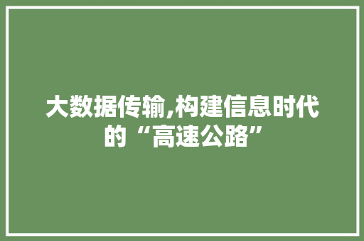 大数据传输,构建信息时代的“高速公路”