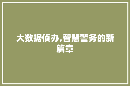 大数据侦办,智慧警务的新篇章