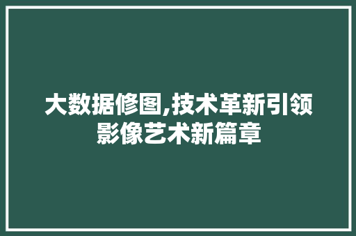 大数据修图,技术革新引领影像艺术新篇章