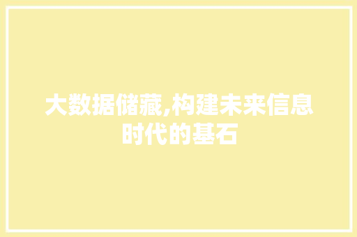 大数据储藏,构建未来信息时代的基石