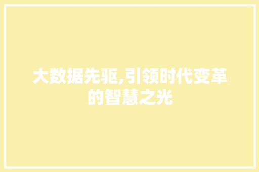大数据先驱,引领时代变革的智慧之光