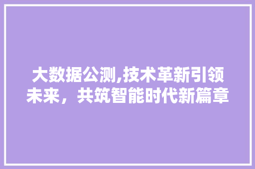 大数据公测,技术革新引领未来，共筑智能时代新篇章