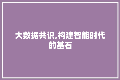 大数据共识,构建智能时代的基石