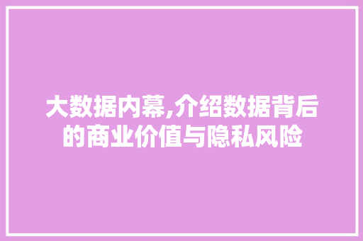 大数据内幕,介绍数据背后的商业价值与隐私风险