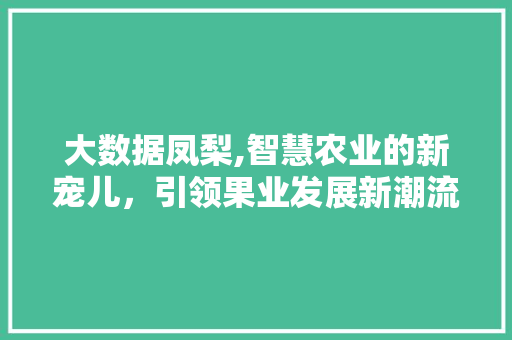 大数据凤梨,智慧农业的新宠儿，引领果业发展新潮流