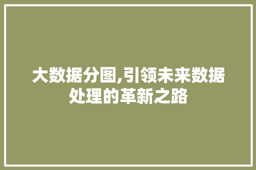 大数据分图,引领未来数据处理的革新之路