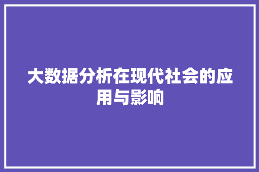 大数据分析在现代社会的应用与影响