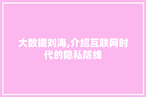 大数据刘海,介绍互联网时代的隐私防线