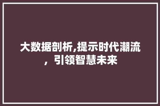 大数据剖析,提示时代潮流，引领智慧未来