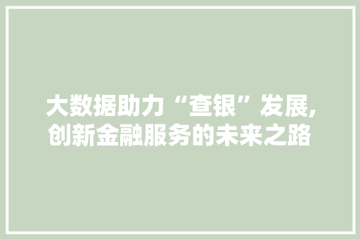 大数据助力“查银”发展,创新金融服务的未来之路