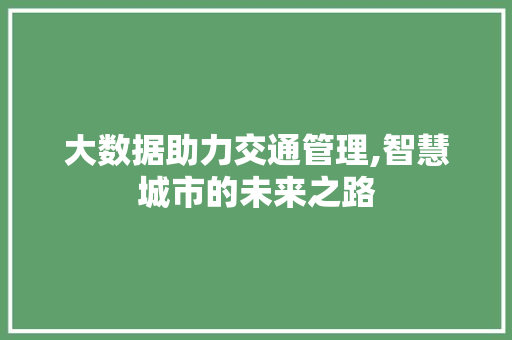 大数据助力交通管理,智慧城市的未来之路