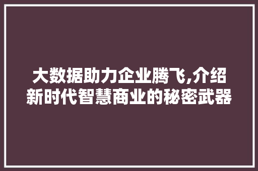 大数据助力企业腾飞,介绍新时代智慧商业的秘密武器