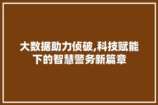 大数据助力侦破,科技赋能下的智慧警务新篇章
