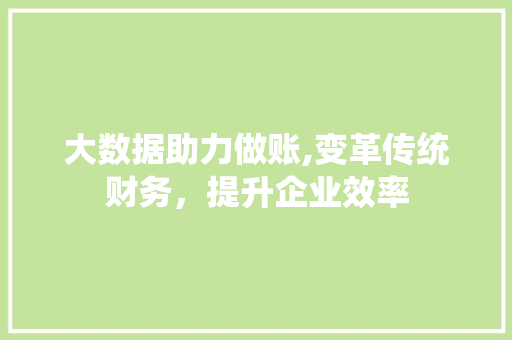 大数据助力做账,变革传统财务，提升企业效率