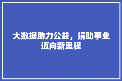 大数据助力公益，捐助事业迈向新里程