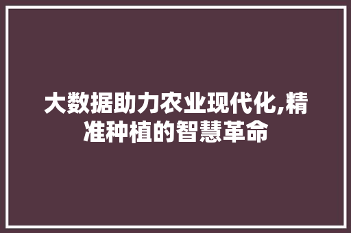 大数据助力农业现代化,精准种植的智慧革命