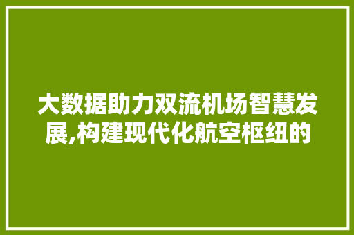 大数据助力双流机场智慧发展,构建现代化航空枢纽的典范