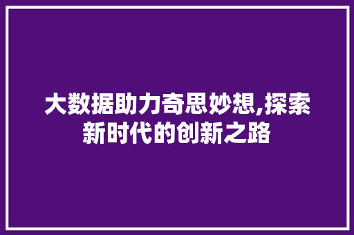 大数据助力奇思妙想,探索新时代的创新之路