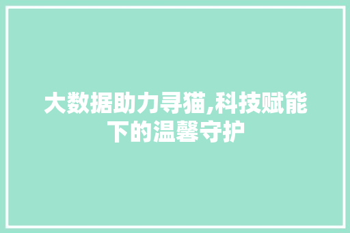 大数据助力寻猫,科技赋能下的温馨守护