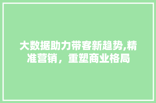 大数据助力带客新趋势,精准营销，重塑商业格局
