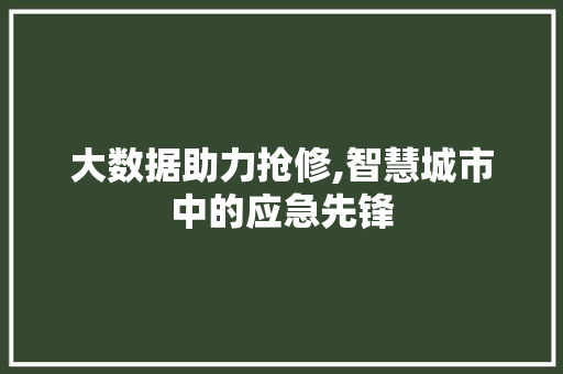 大数据助力抢修,智慧城市中的应急先锋