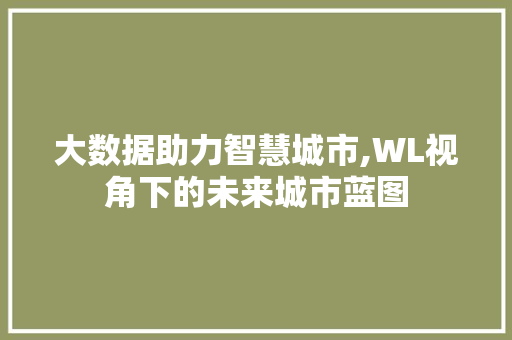 大数据助力智慧城市,WL视角下的未来城市蓝图