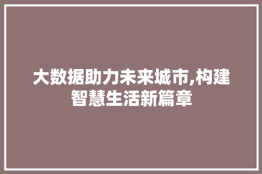 大数据助力未来城市,构建智慧生活新篇章