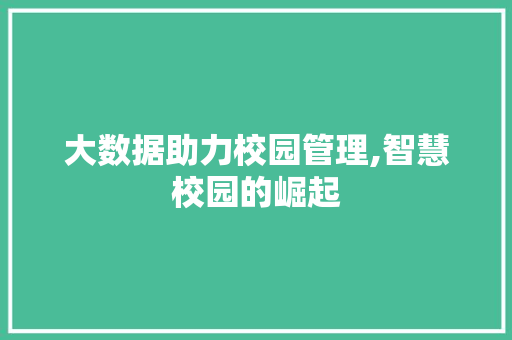 大数据助力校园管理,智慧校园的崛起