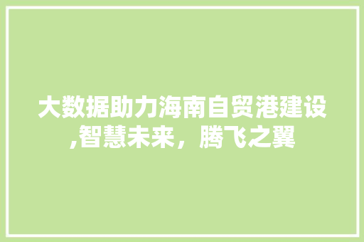 大数据助力海南自贸港建设,智慧未来，腾飞之翼
