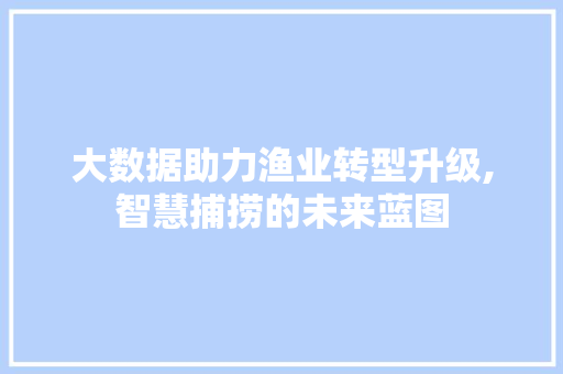 大数据助力渔业转型升级,智慧捕捞的未来蓝图