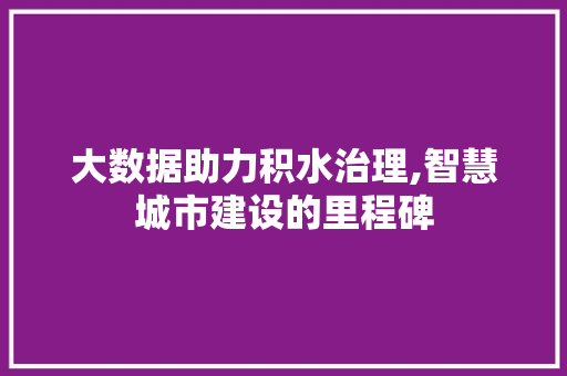 大数据助力积水治理,智慧城市建设的里程碑