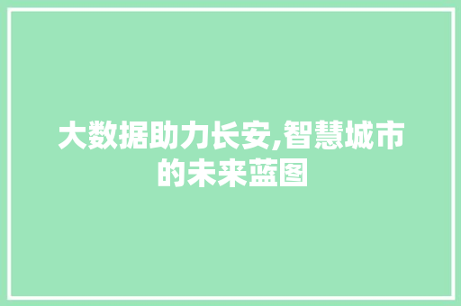 大数据助力长安,智慧城市的未来蓝图