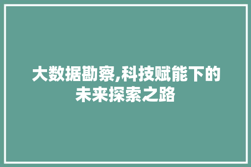 大数据勘察,科技赋能下的未来探索之路