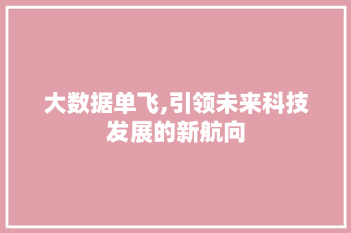 大数据单飞,引领未来科技发展的新航向