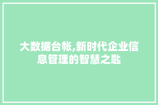 大数据台帐,新时代企业信息管理的智慧之匙