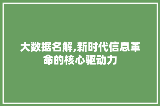 大数据名解,新时代信息革命的核心驱动力