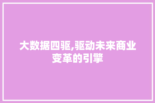 大数据四驱,驱动未来商业变革的引擎
