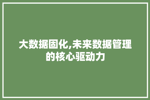 大数据固化,未来数据管理的核心驱动力
