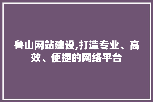 鲁山网站建设,打造专业、高效、便捷的网络平台