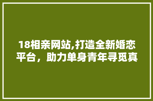 18相亲网站,打造全新婚恋平台，助力单身青年寻觅真爱