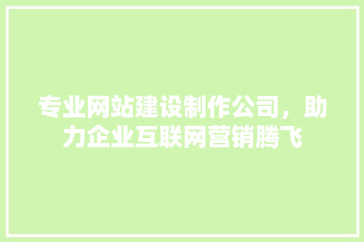 专业网站建设制作公司，助力企业互联网营销腾飞