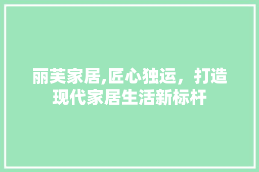 丽芙家居,匠心独运，打造现代家居生活新标杆