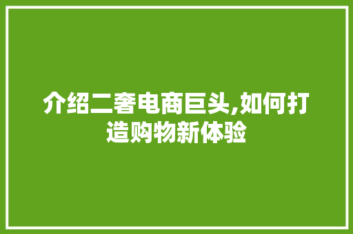 介绍二奢电商巨头,如何打造购物新体验
