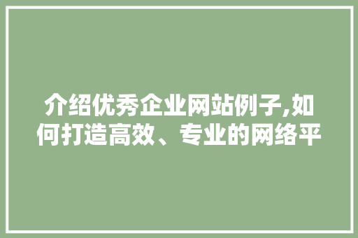 介绍优秀企业网站例子,如何打造高效、专业的网络平台