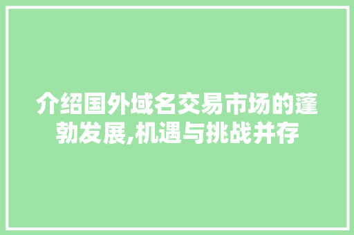 介绍国外域名交易市场的蓬勃发展,机遇与挑战并存