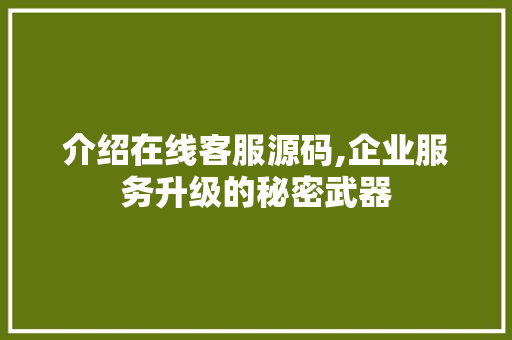 介绍在线客服源码,企业服务升级的秘密武器