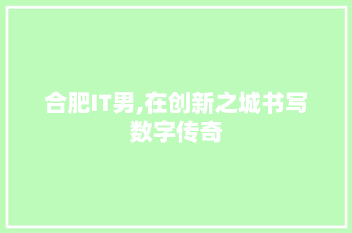 合肥IT男,在创新之城书写数字传奇